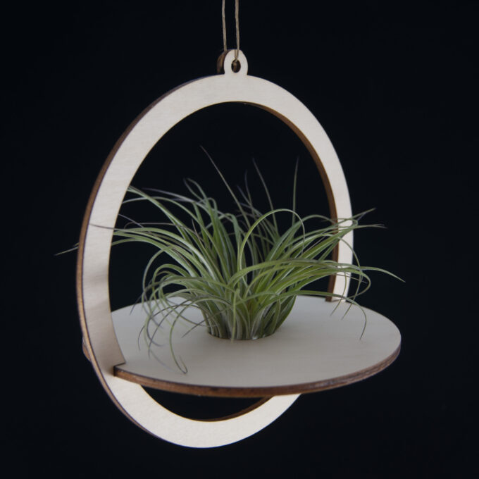 Luchtplantje hanger rond Hanger voor luchtplantje - rond