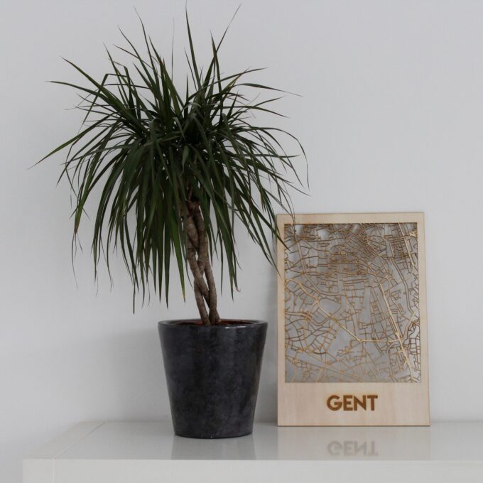 Citymap Gent